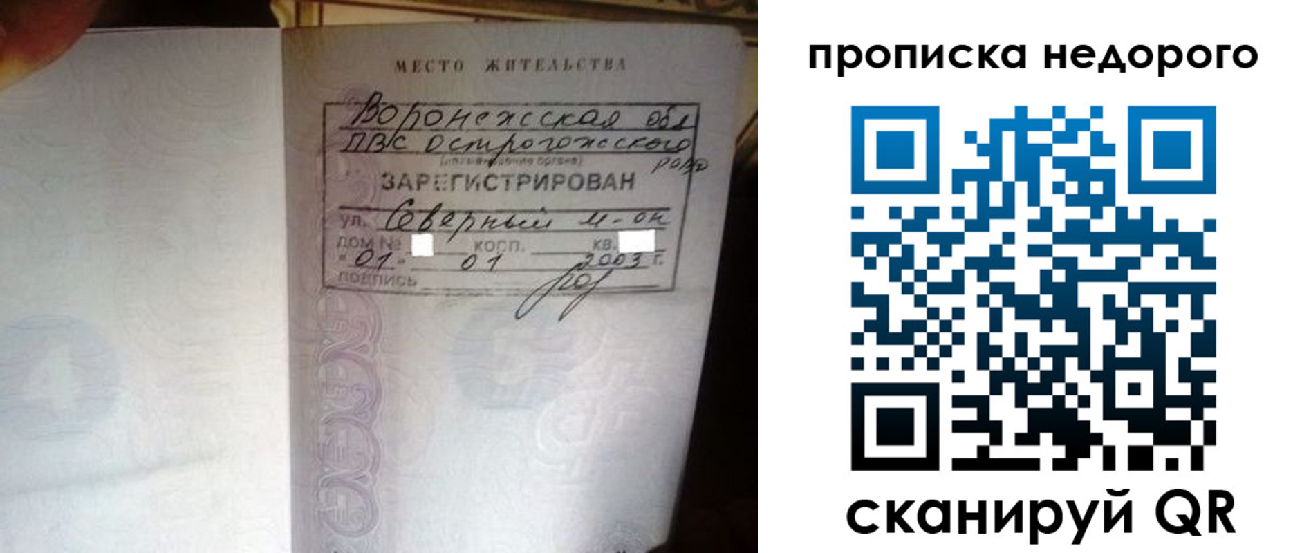 временная регистрация поиск в Мурманской области